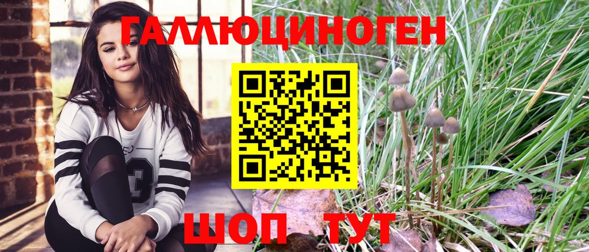 Псилоцибиновые грибы Psilocybine cubensis Россошь