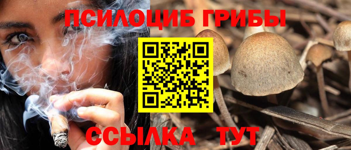 Псилоцибиновые грибы Magic Shrooms  Псилоцибиновые грибы ЛСД  Россошь  Вход с VPN 